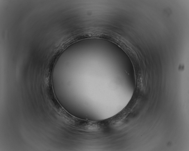 X0000094420604200711211412