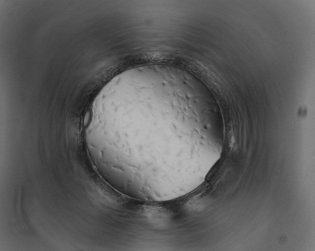 X0000094420605200711211412