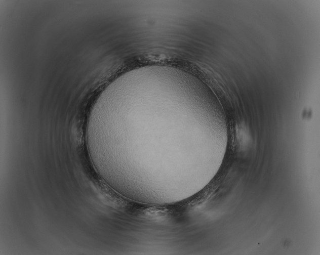 X0000094420606200711211412