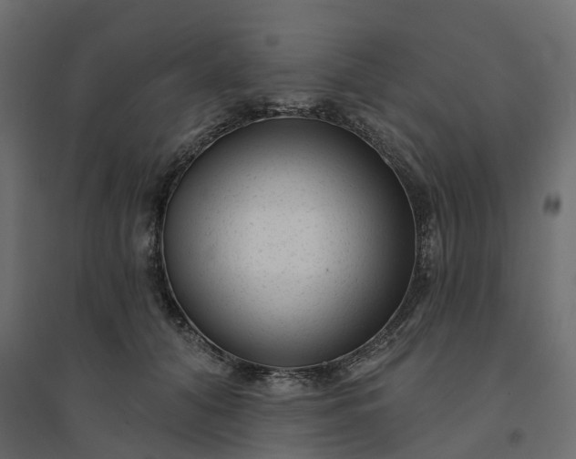 X0000094420608200711211412