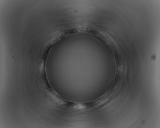 X0000094420610200711211412