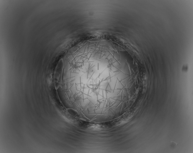 X0000094420611200711211412