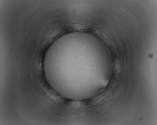 X0000094420615200711211412