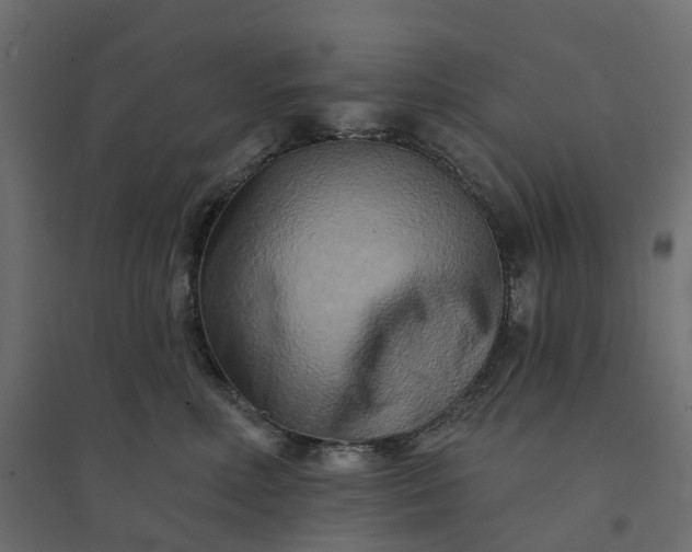 X0000094420618200711211412