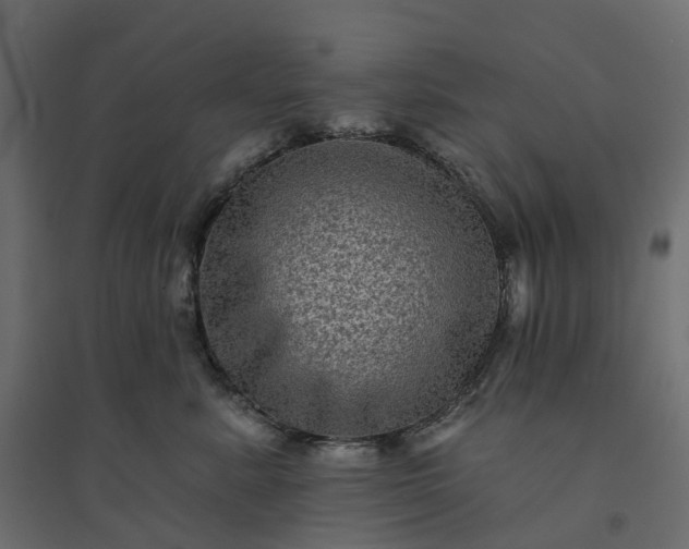 X0000094420619200711211412