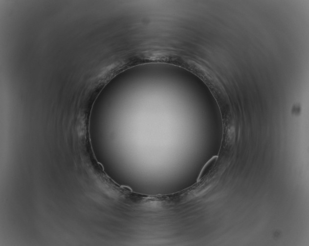 X0000094420620200711211412