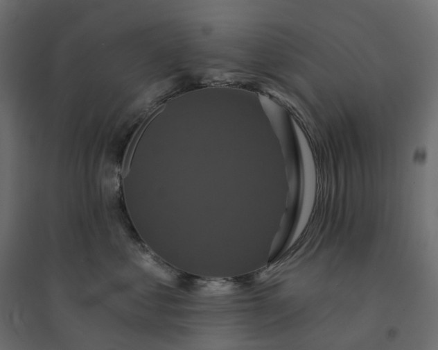 X0000094420621200711211412