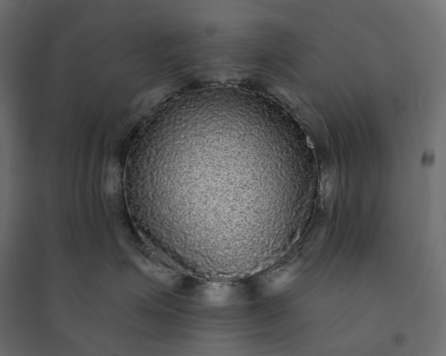 X0000094420623200711211412