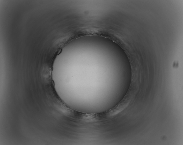 X0000094420624200711211412
