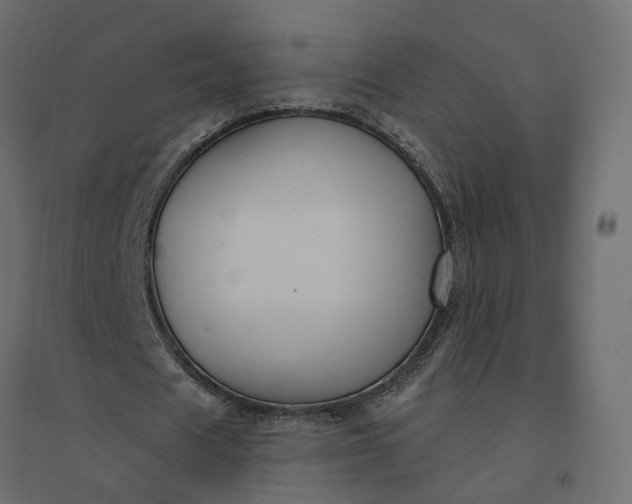X0000094420625200711211411