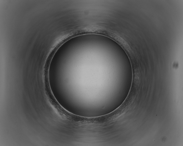 X0000094420626200711211411