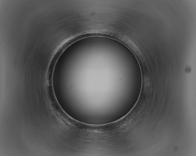 X0000094420628200711211411