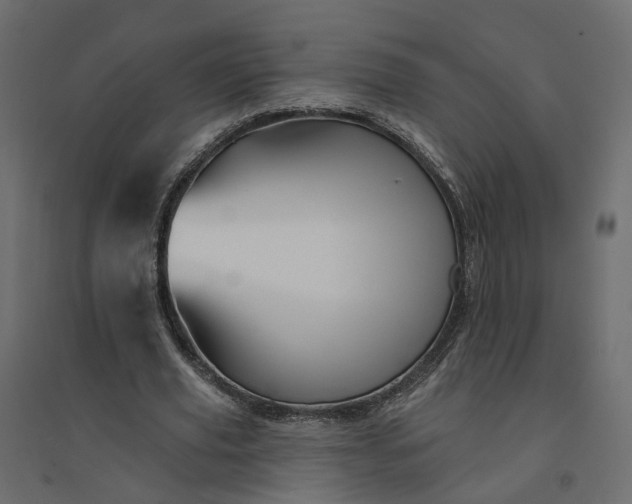 X0000094420629200711211411
