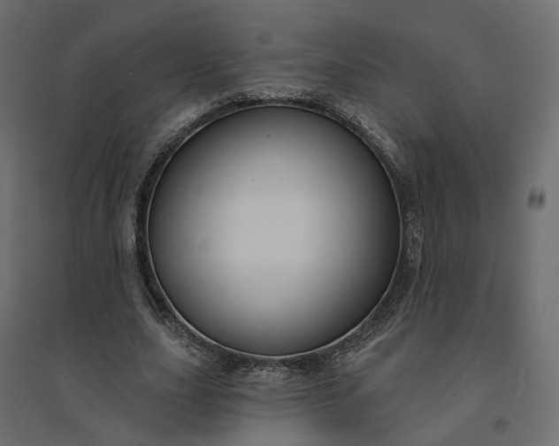 X0000094420631200711211411