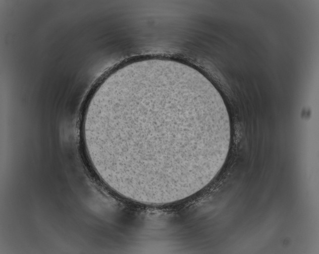X0000094420632200711211411
