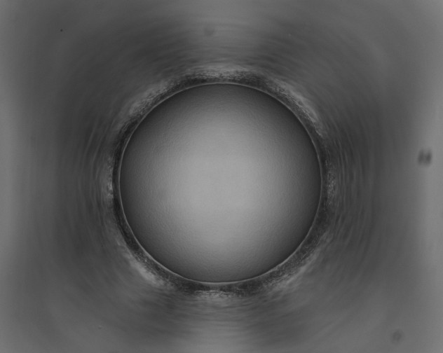 X0000094420633200711211411