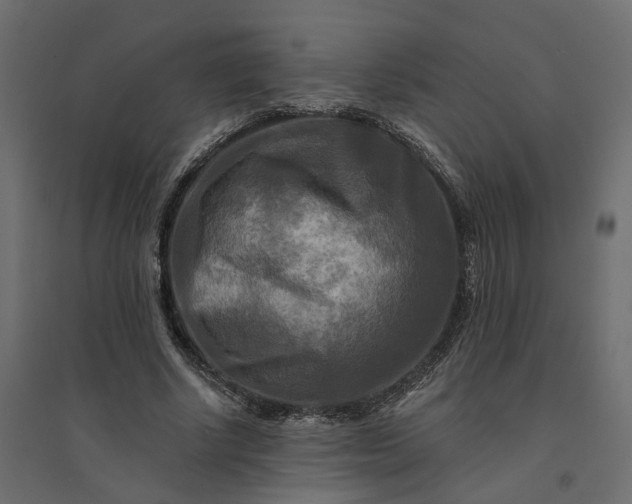 X0000094420634200711211411