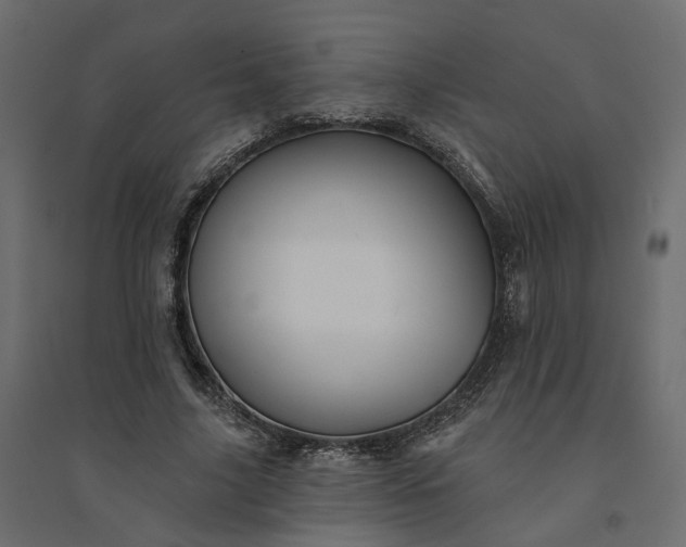 X0000094420635200711211411