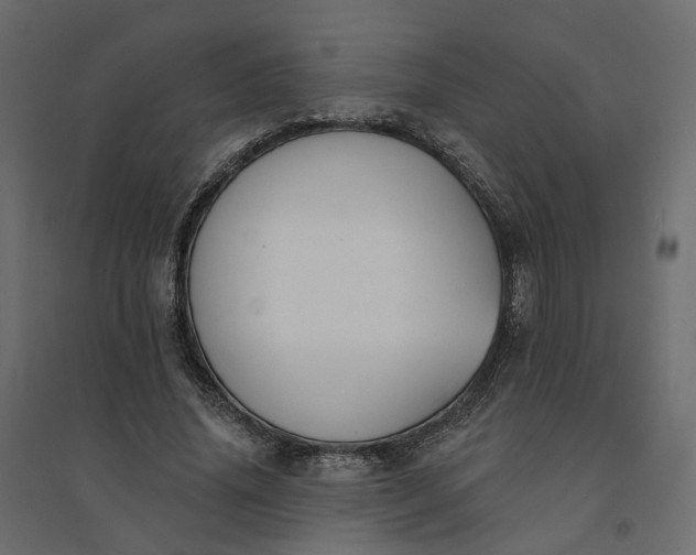 X0000094420636200711211411
