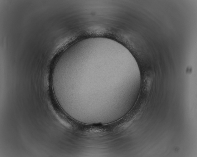 X0000094420638200711211411