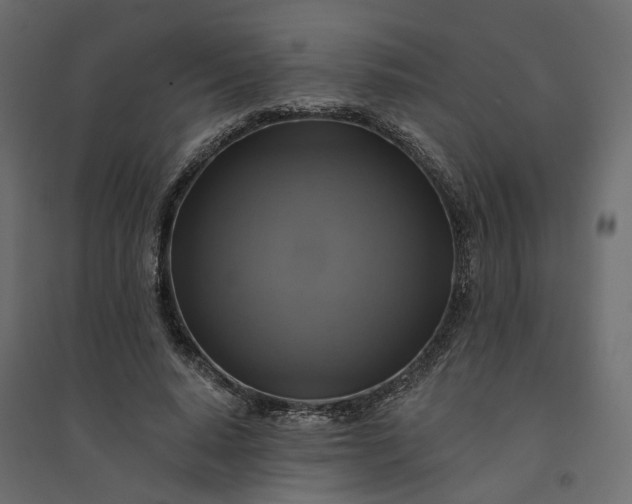 X0000094420640200711211411