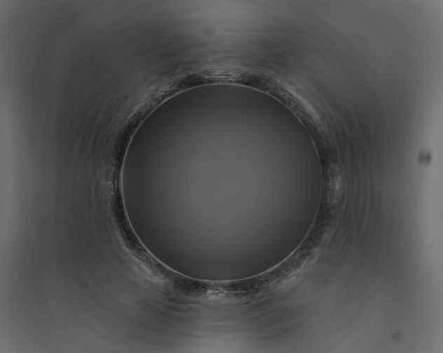 X0000094420641200711211411