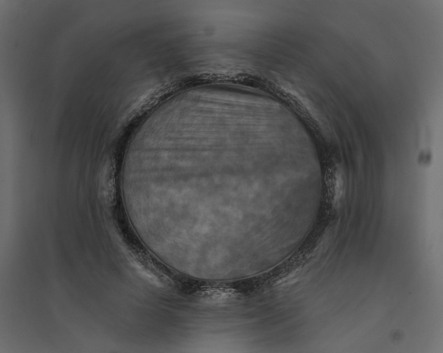 X0000094420642200711211411
