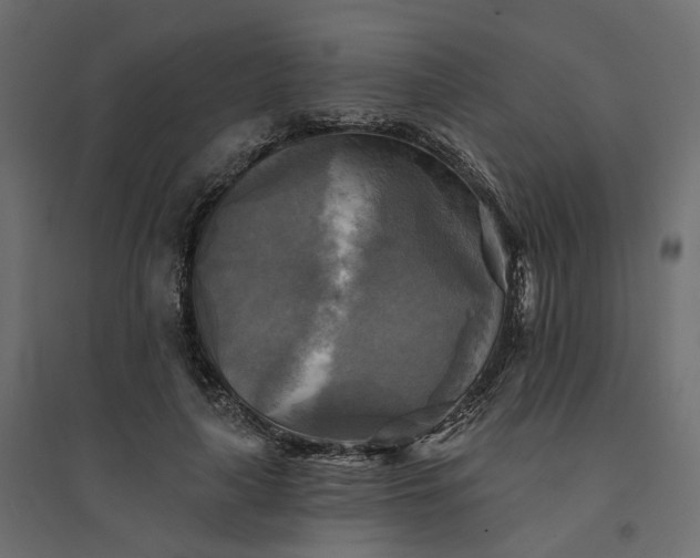X0000094420643200711211411