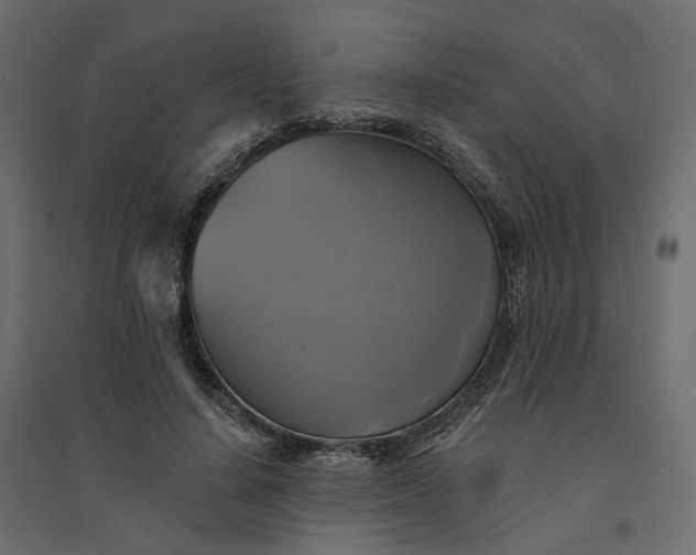 X0000094420644200711211411