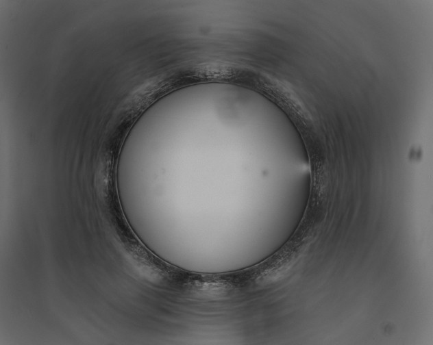 X0000094420645200711211411