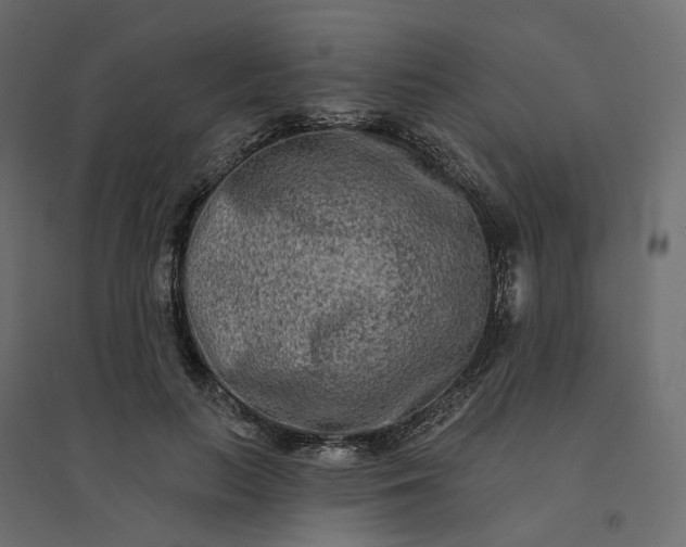 X0000094420647200711211411