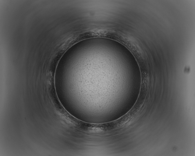X0000094420649200711211411