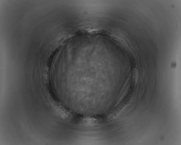 X0000094420650200711211411