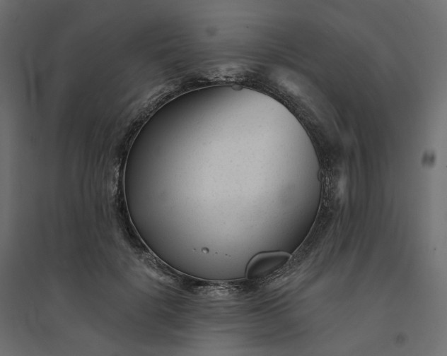 X0000094420652200711211411