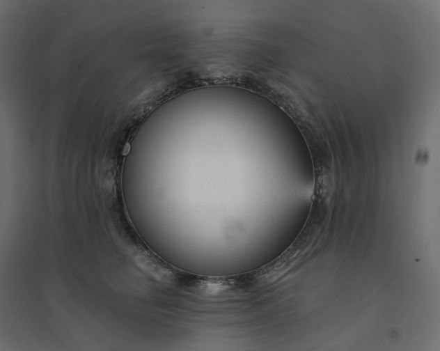 X0000094420662200711211411