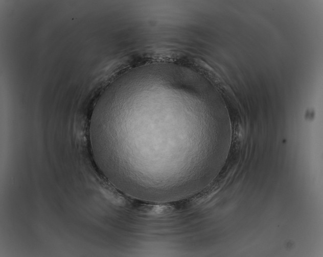 X0000094420663200711211411