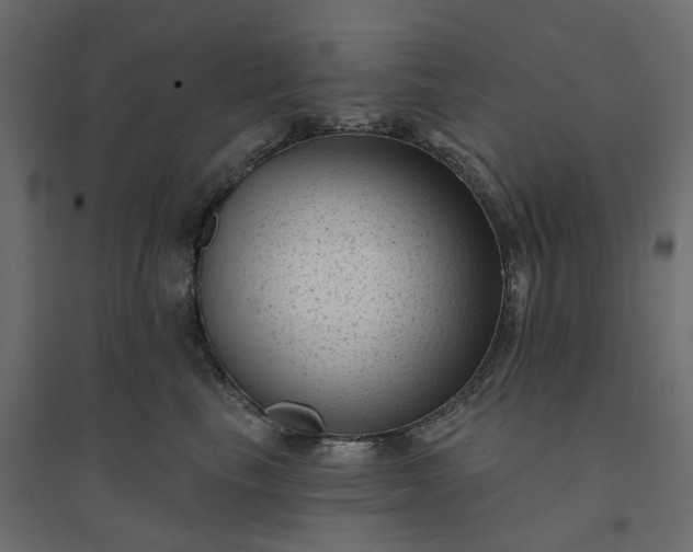 X0000094420665200711211411