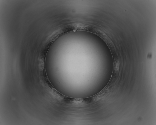 X0000094420666200711211411