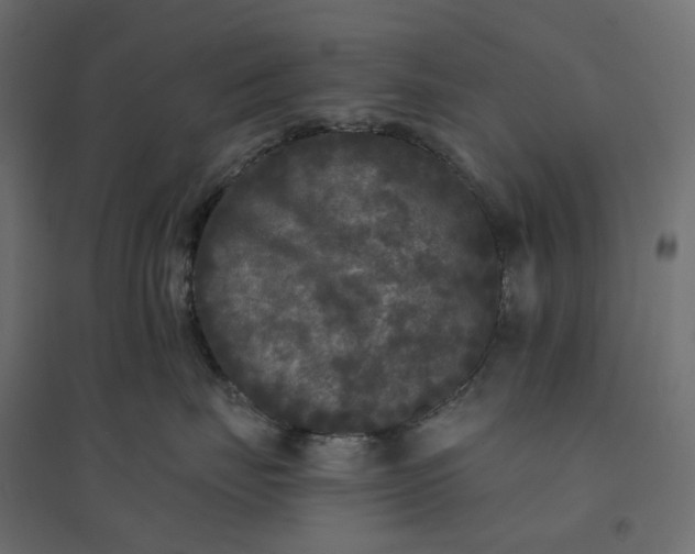 X0000094420671200711211412