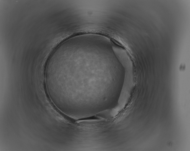 X0000094420673200711211411