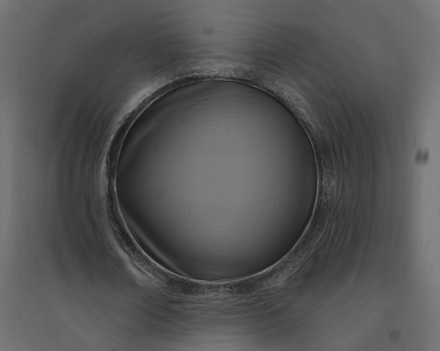 X0000094420674200711211411