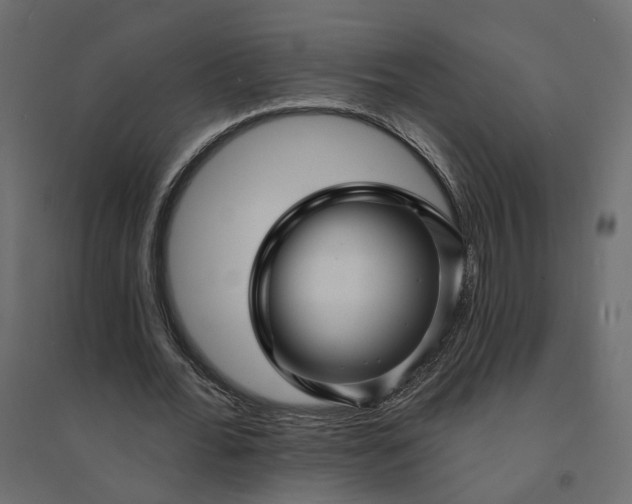 X0000094420676200711211411