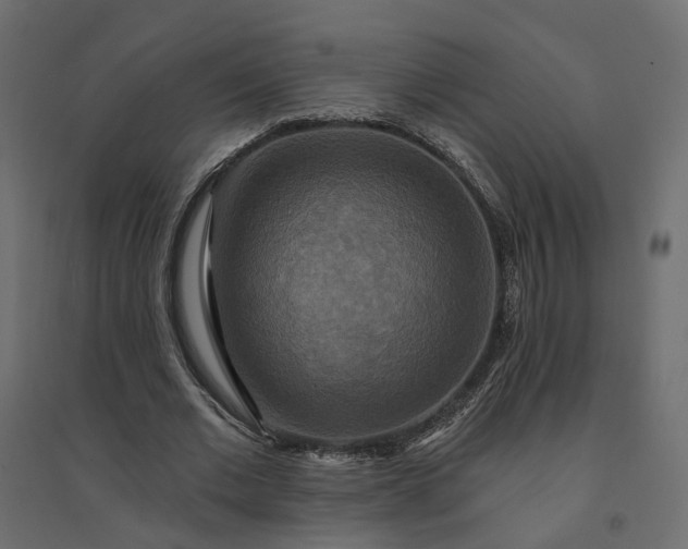 X0000094420677200711211411