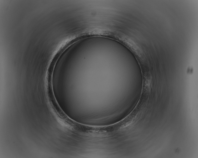 X0000094420678200711211411