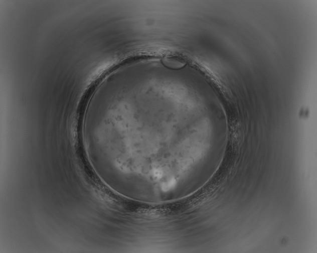 X0000094420679200711211411