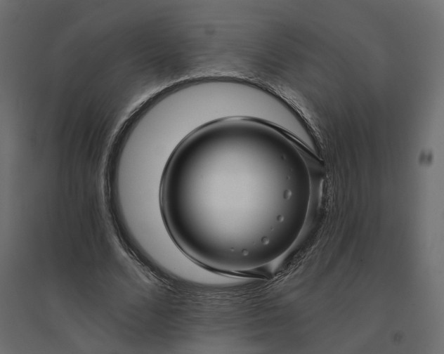 X0000094420680200711211411