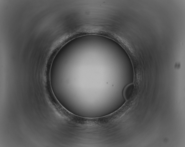 X0000094420682200711211411