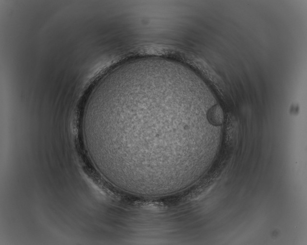X0000094420683200711211411
