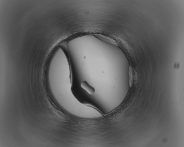 X0000094420684200711211411