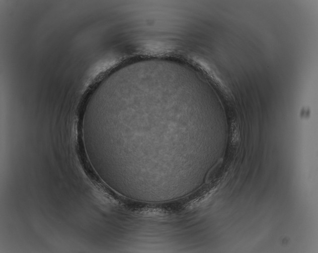 X0000094420685200711211411